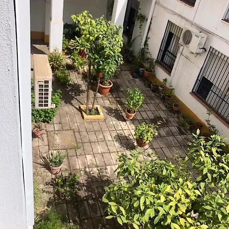 Apartamento Plaza Santa Lucia Renovado Febrero 2025 Séville Extérieur photo